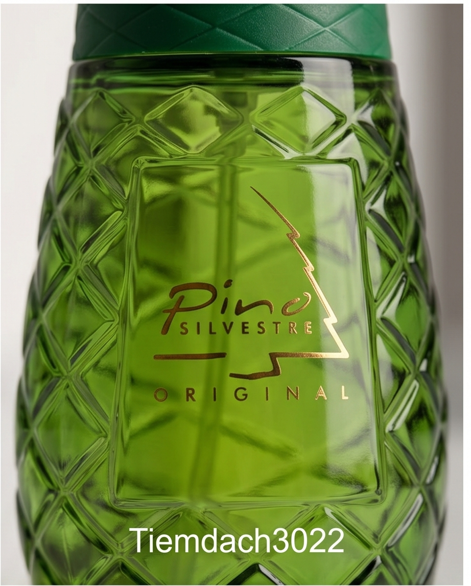 Pino Silvestre